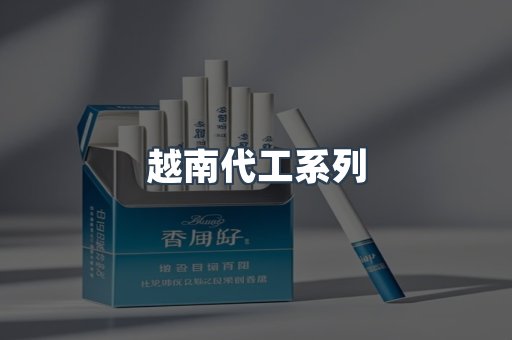 越南代工系列